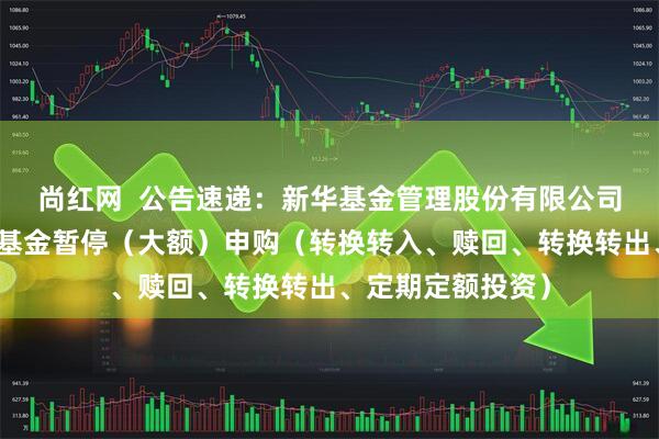 尚红网  公告速递：新华基金管理股份有限公司新华利率债基金基金暂停（大额）申购（转换转入、赎回、转换转出、定期定额投资）