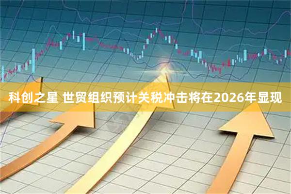 科创之星 世贸组织预计关税冲击将在2026年显现
